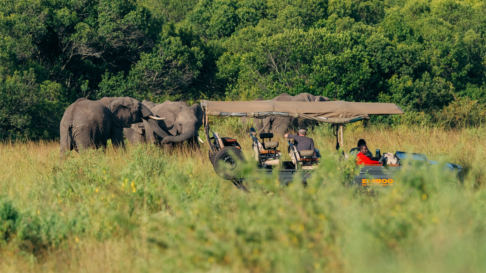 EvolviaSafariHolidays-Img-2