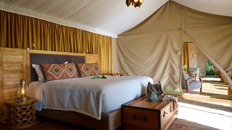 EvolviaSafariHolidays-Img-37