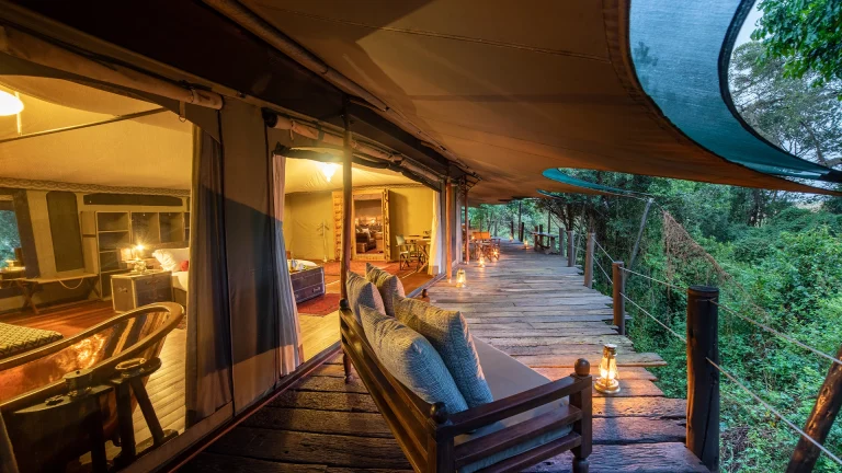 EvolviaSafariHolidays-Img-41