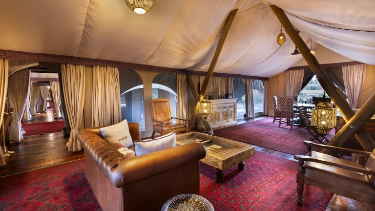 EvolviaSafariHolidays-Img-43