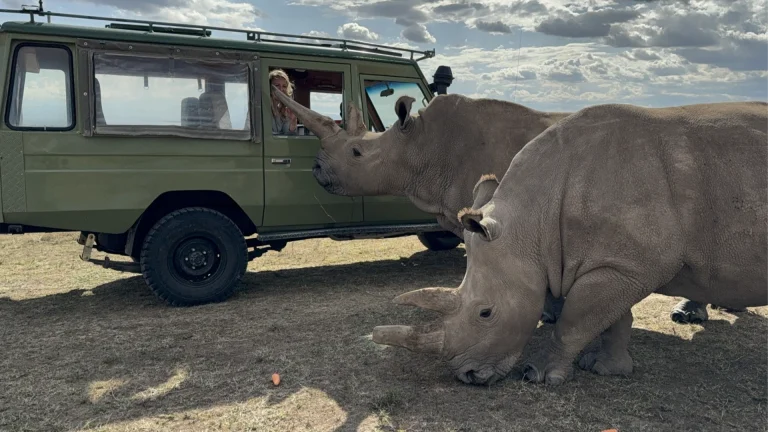 EvolviaSafariHolidays-Img-50