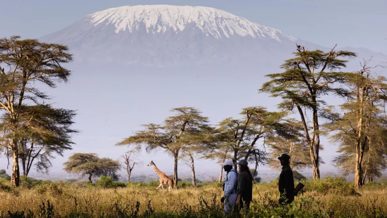 EvolviaSafariHolidays-Img-74