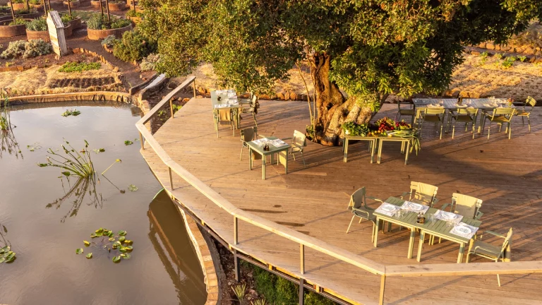 EvolviaSafariHolidays-Img-78