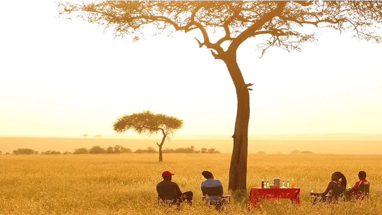 EvolviaSafariHolidays-Img-96