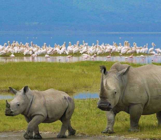 Screenshot 2026-02-10 at 09.00.18